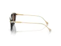 Swarovski Sonnenbrille SK 6010 100273