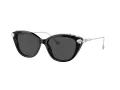 Swarovski Sonnenbrille SK 6010 103887