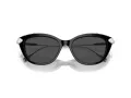 Swarovski Sonnenbrille SK 6010 103887