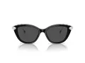 Swarovski Sonnenbrille SK 6010 103887