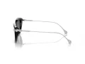 Swarovski Sonnenbrille SK 6010 103887