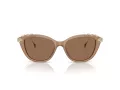 Swarovski Sonnenbrille SK 6010 2002OK