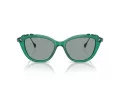 Swarovski Sonnenbrille SK 6010 2003/1