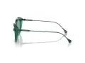Swarovski Sonnenbrille SK 6010 2003/1