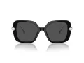 Swarovski Sonnenbrille SK 6011 103887