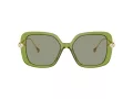 Swarovski Sonnenbrille SK 6011 3002/2