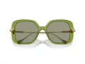 Swarovski Sonnenbrille SK 6011 3002/2
