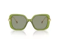 Swarovski Sonnenbrille SK 6011 3002/2