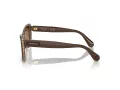 Swarovski Sonnenbrille SK 6012 101173