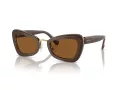 Swarovski Sonnenbrille SK 6012 101173