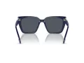 Swarovski Sonnenbrille SK 6013 101887