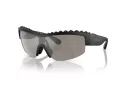 Swarovski Sonnenbrille SK 6014 10016G
