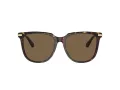 Swarovski Sonnenbrille SK 6015D 100273