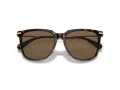 Swarovski Sonnenbrille SK 6015D 100273
