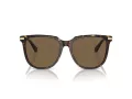 Swarovski Sonnenbrille SK 6015D 100273