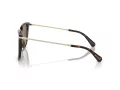 Swarovski Sonnenbrille SK 6015D 100273