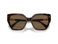 Swarovski Sonnenbrille SK 6016 100273