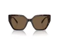 Swarovski Sonnenbrille SK 6016 100273