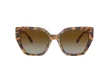 Swarovski Sonnenbrille SK 6016 1004T5