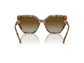 Swarovski Sonnenbrille SK 6016 1004T5