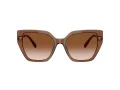 Swarovski Sonnenbrille SK 6016 106713