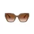 Swarovski Sonnenbrille SK 6016 106713