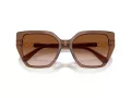 Swarovski Sonnenbrille SK 6016 106713