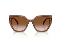 Swarovski Sonnenbrille SK 6016 106713