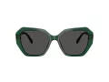 Swarovski Sonnenbrille SK 6017 104587