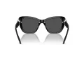 Swarovski Sonnenbrille SK 6018 100187