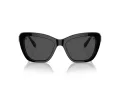 Swarovski Sonnenbrille SK 6018 100187