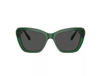 Swarovski Sonnenbrille SK 6018 104587