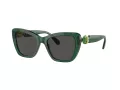 Swarovski Sonnenbrille SK 6018 104587
