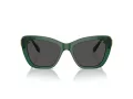 Swarovski Sonnenbrille SK 6018 104587