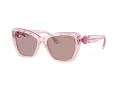 Swarovski Sonnenbrille SK 6018 30017N