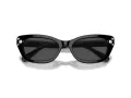 Swarovski Sonnenbrille SK 6019 100187