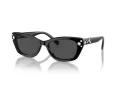 Swarovski Sonnenbrille SK 6019 100187