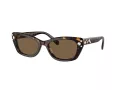 Swarovski Sonnenbrille SK 6019 100273