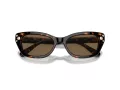 Swarovski Sonnenbrille SK 6019 100273