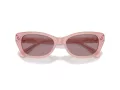 Swarovski Sonnenbrille SK 6019 10317N