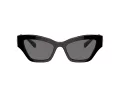 Swarovski Sonnenbrille SK 6021 100181