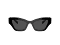 Swarovski Sonnenbrille SK 6021 100187