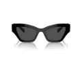 Swarovski Sonnenbrille SK 6021 100187