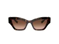 Swarovski Sonnenbrille SK 6021 10023B