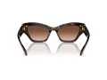 Swarovski Sonnenbrille SK 6021 10023B