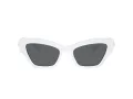 Swarovski Sonnenbrille SK 6021 105087