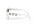 Swarovski Sonnenbrille SK 6021 105087