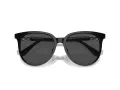 Swarovski Sonnenbrille SK 6023D 100187