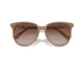 Swarovski Sonnenbrille SK 6023D 200213