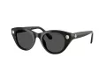 Swarovski Sonnenbrille SK 6025 100187